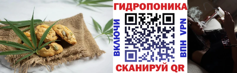 Canna-Cookies марихуана  маркетплейс как зайти  Глазов 