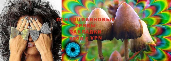 Альфа ПВП Баксан